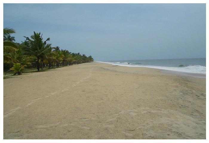 Marari Beach Paradise Mararikulam Eksteriør billede